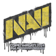 Natus Vincere 🇪🇺